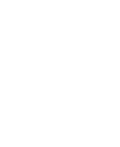 Playcatto white logo